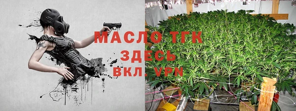 мдпв Тобольск